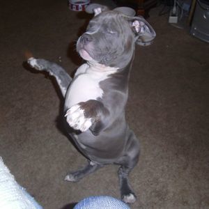 Meet your Posher, Tammy